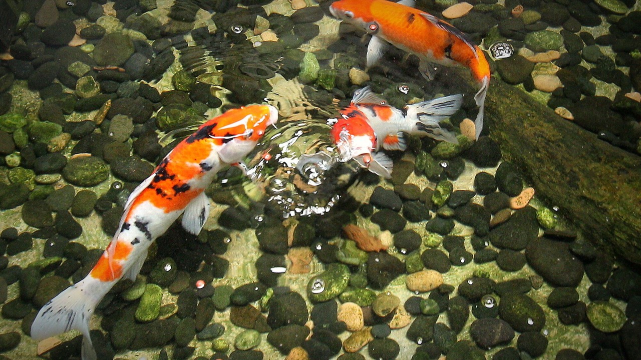 Photo of Others in Ungasan