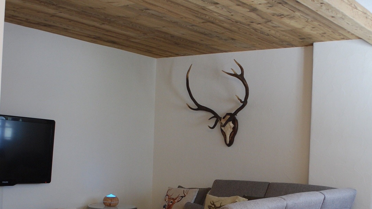 Photo of Livingroom in St. Moritz
