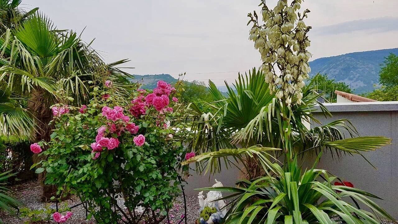 Photo of Outdoor in Grizane