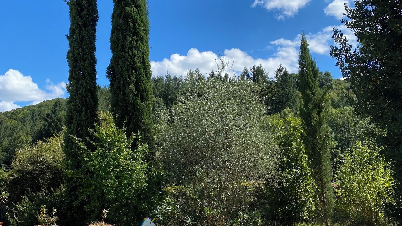 Photo of Outdoor in Castelnau-Durban