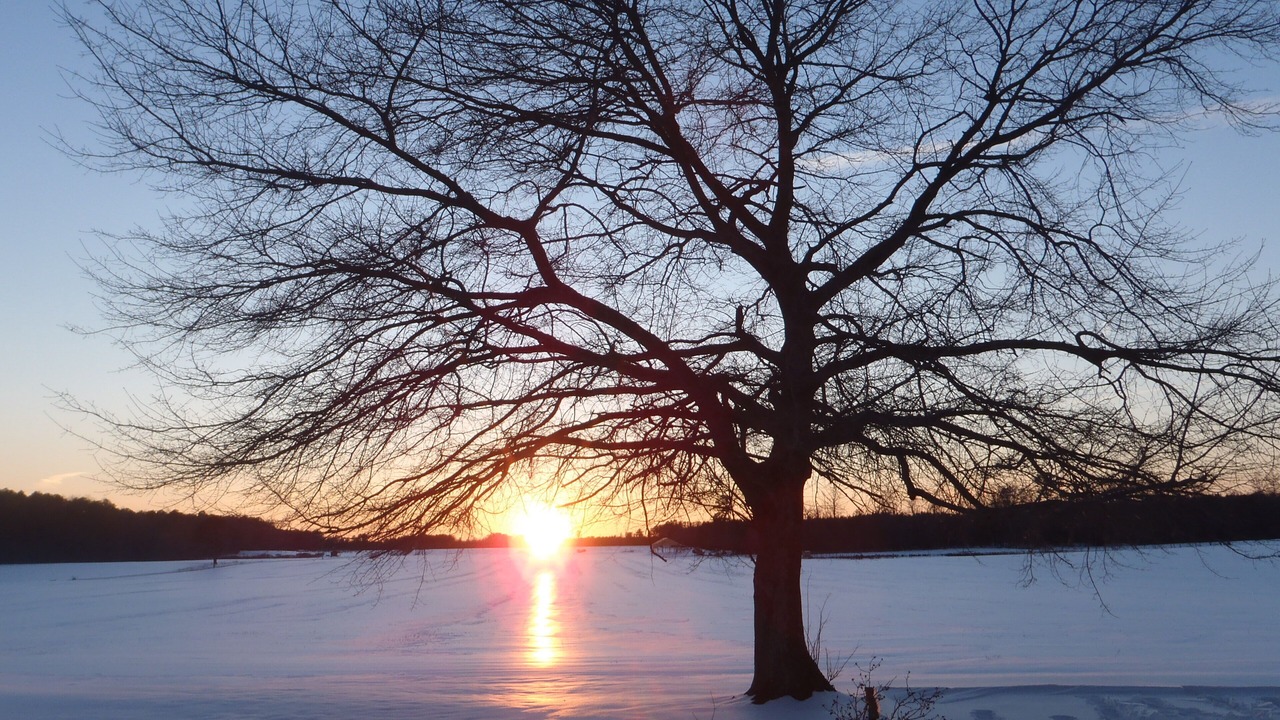 Photo of Others in Wakefield