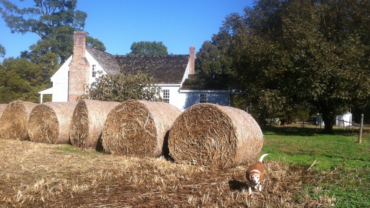 Photo of Outdoor in Wakefield