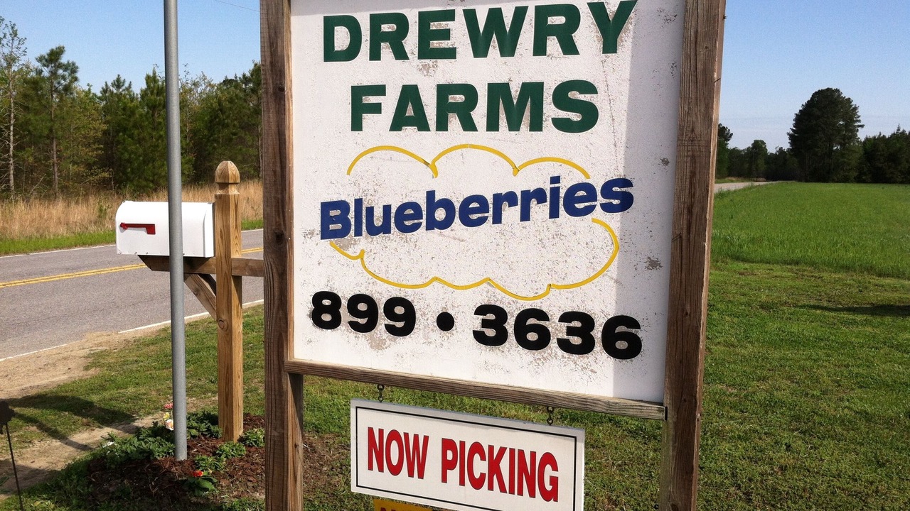 Photo of Outdoor in Wakefield