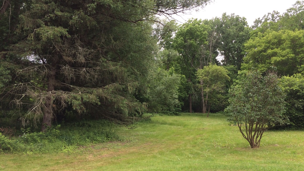 Photo of Others in Catskill