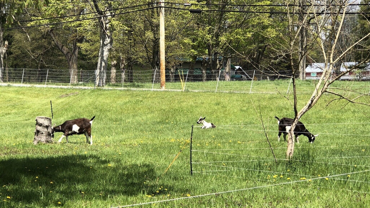 Photo of Others in Catskill