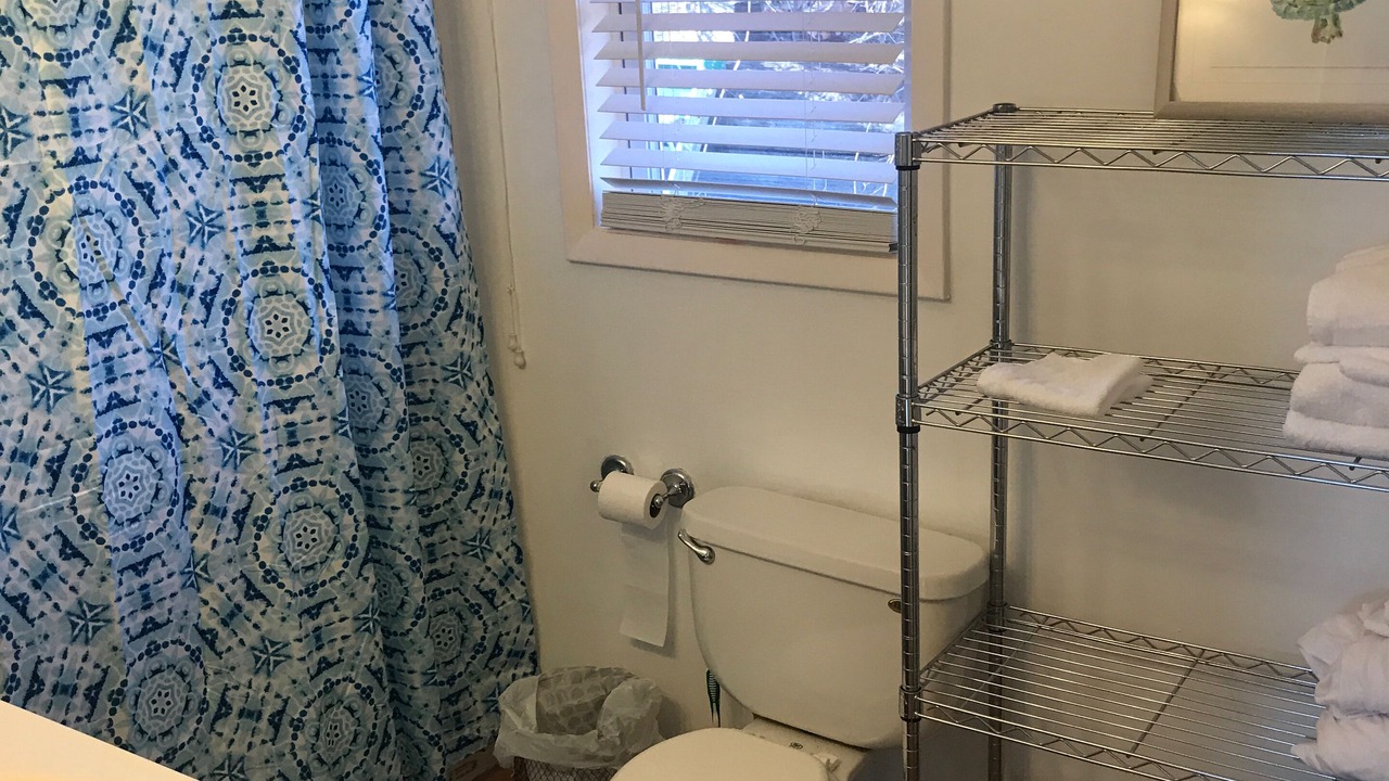 Photo of Bathroom in Delton
