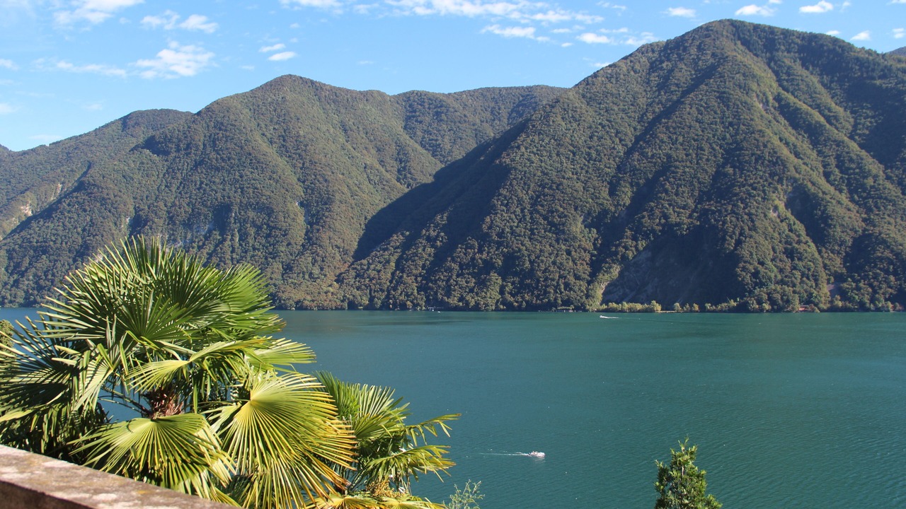 Photo of Others in Castagnola