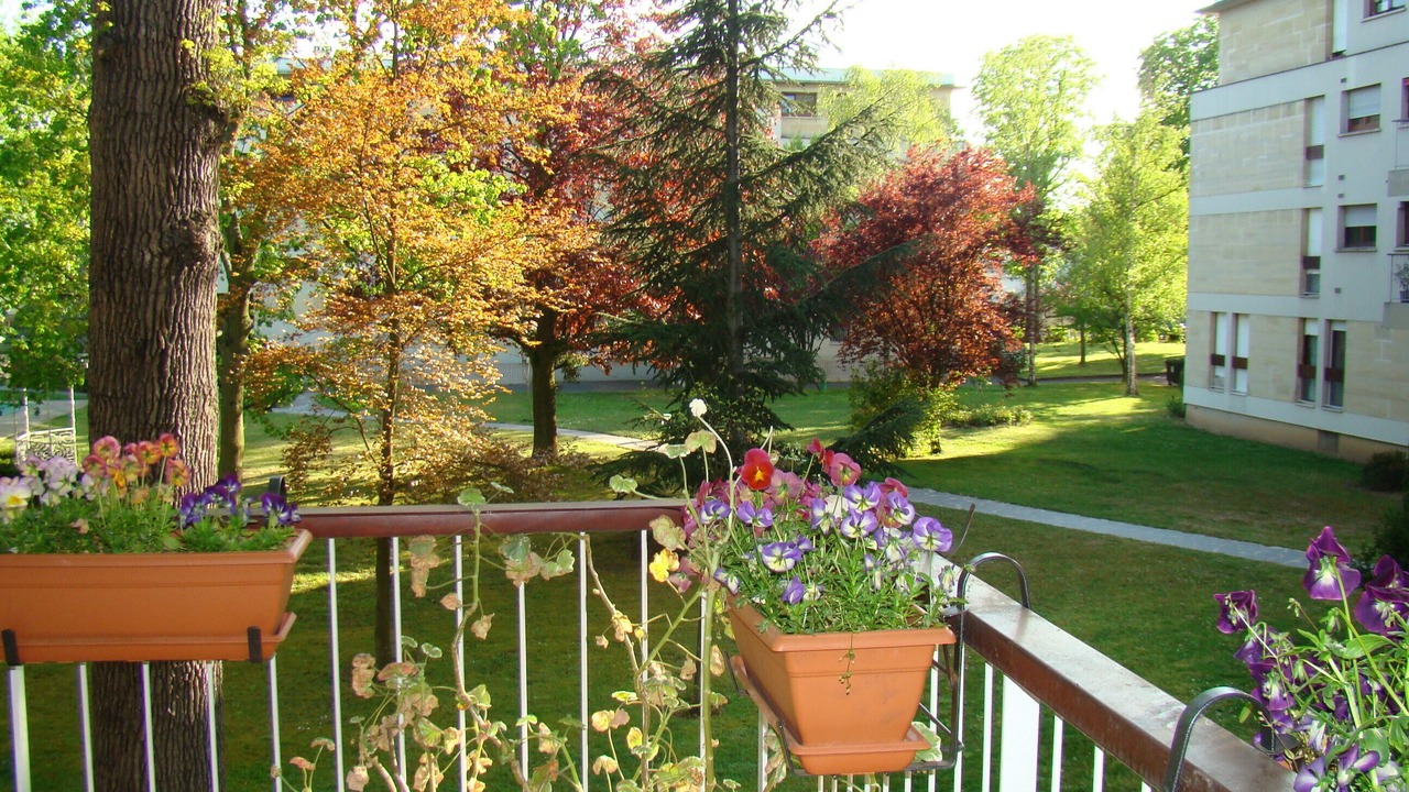 Photo of Outdoor in Maisons-Laffitte