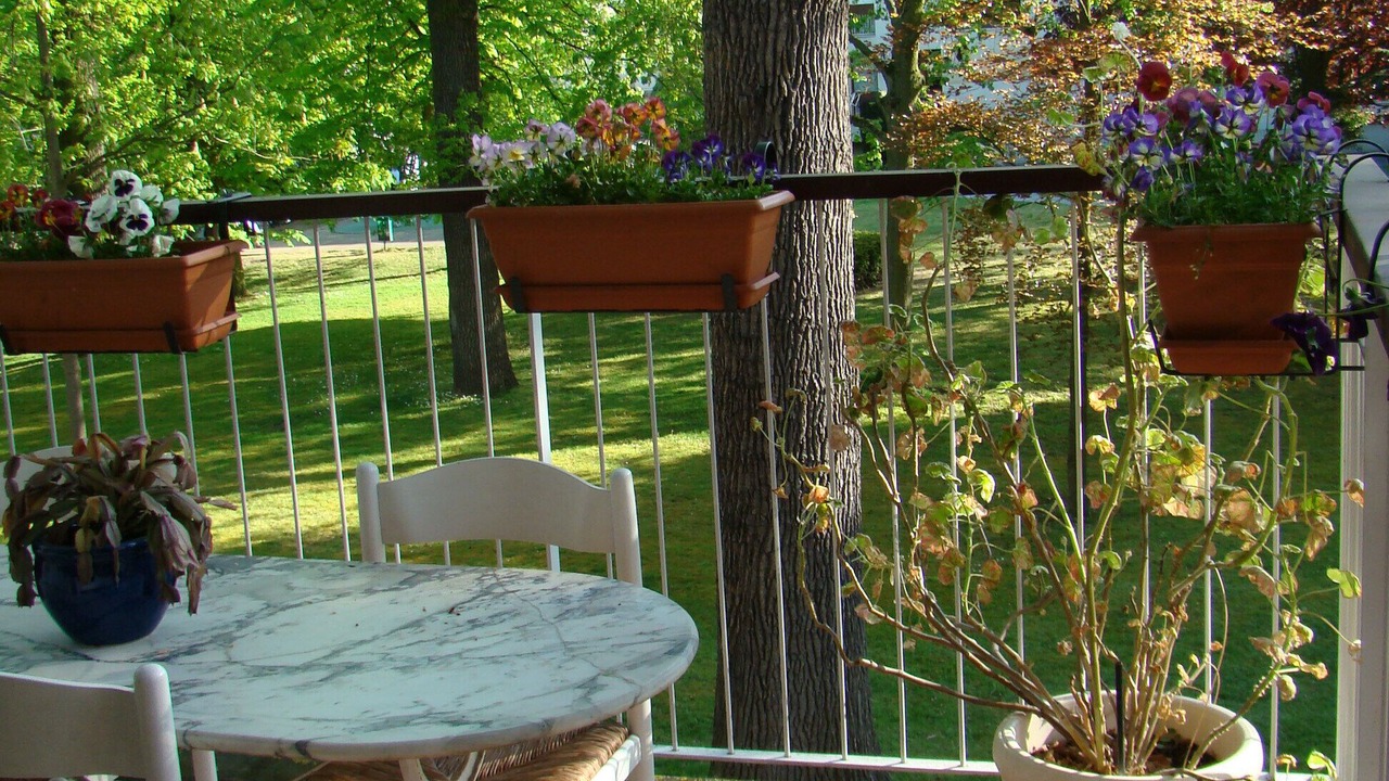 Photo of Outdoor in Maisons-Laffitte