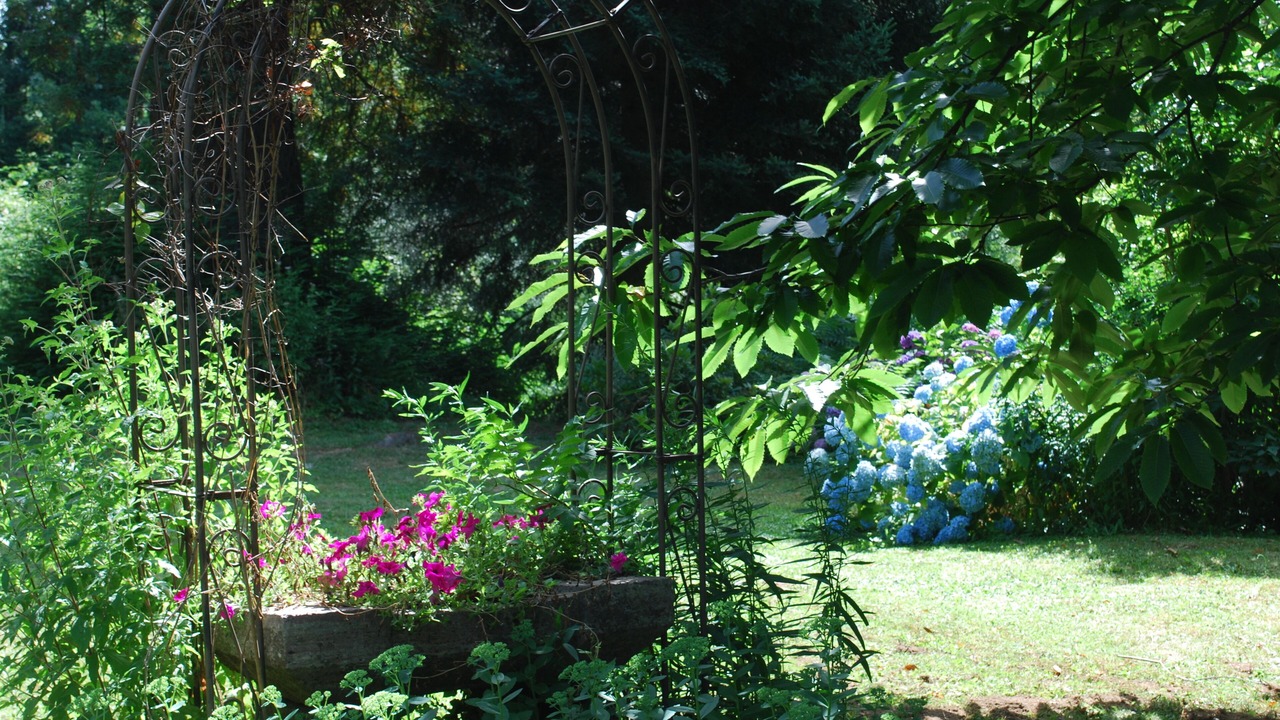 Photo of Outdoor in Courniou
