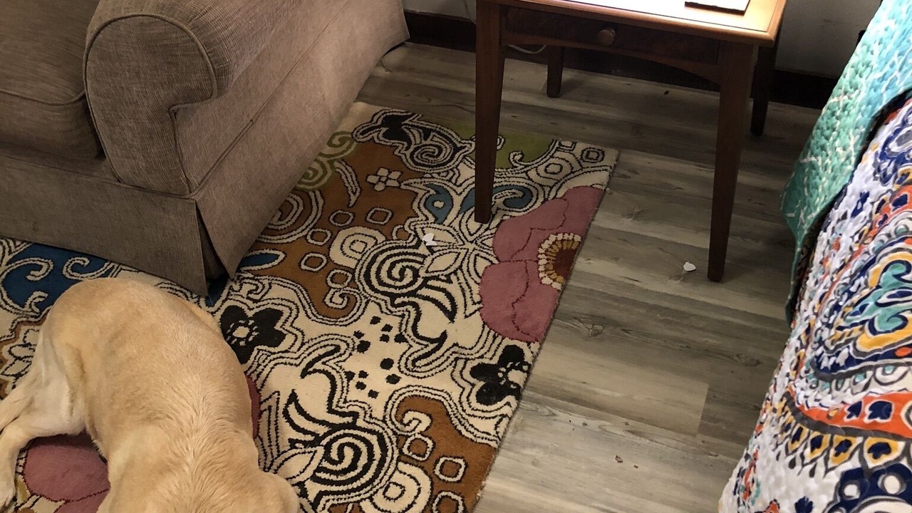 Photo of Livingroom in Rogers