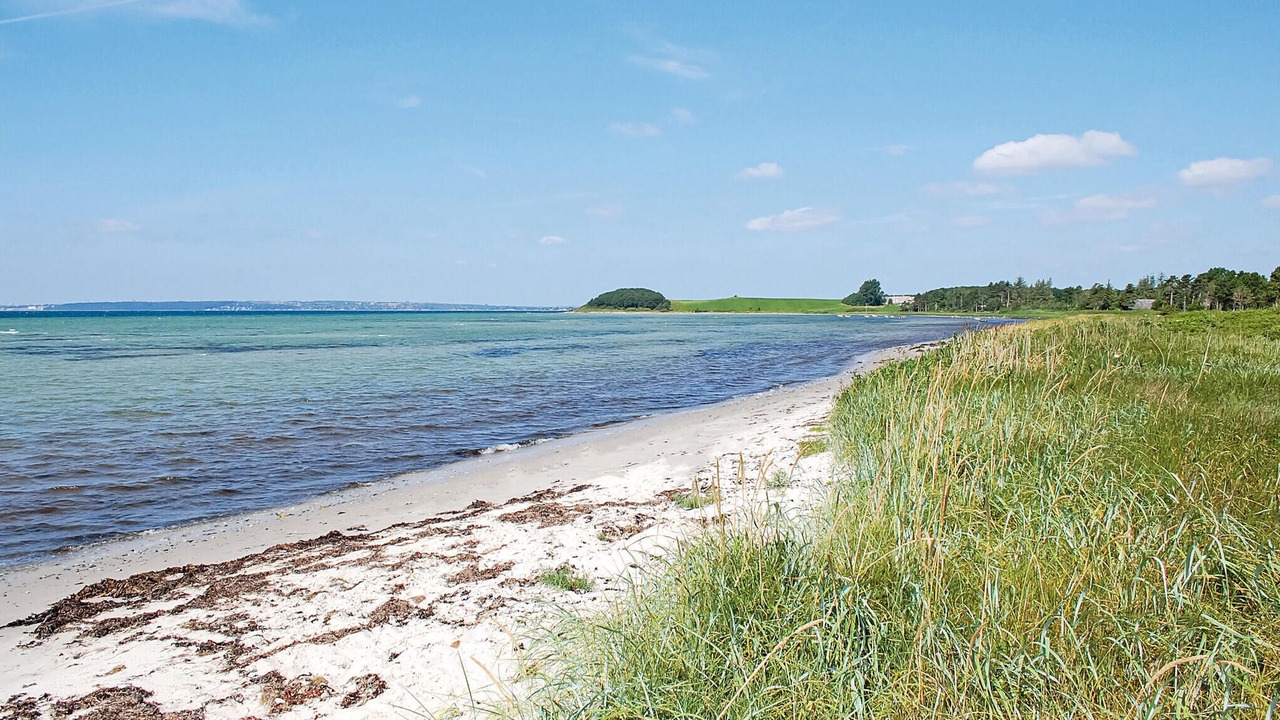 Photo of Others in Skødshoved Strand