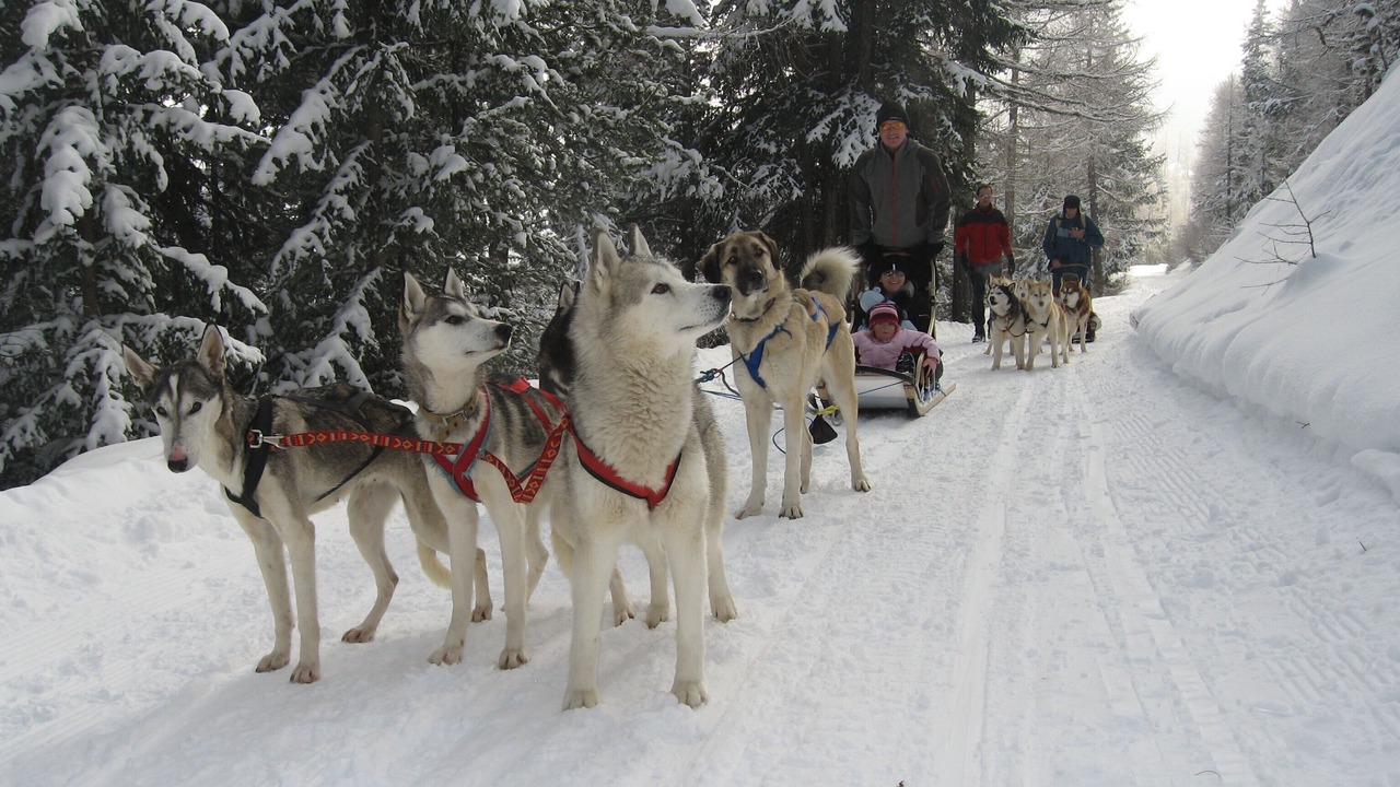 Photo of Others in Saas-Fee