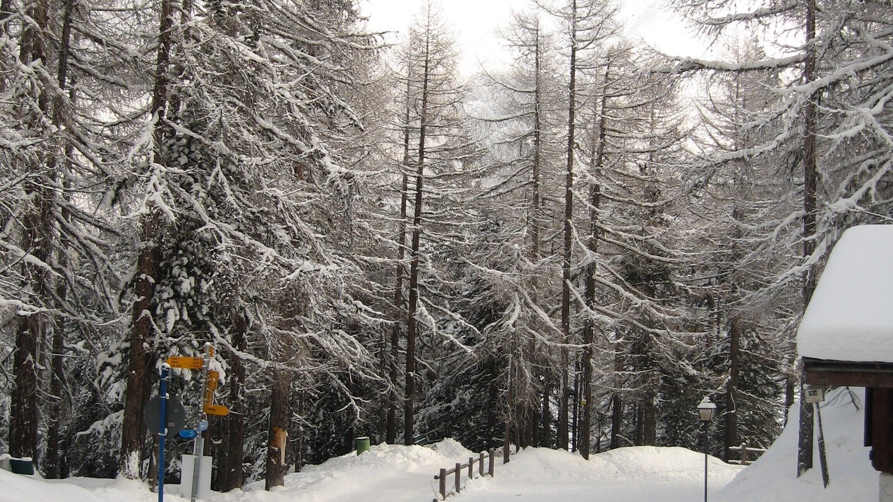 Photo of Others in Saas-Fee