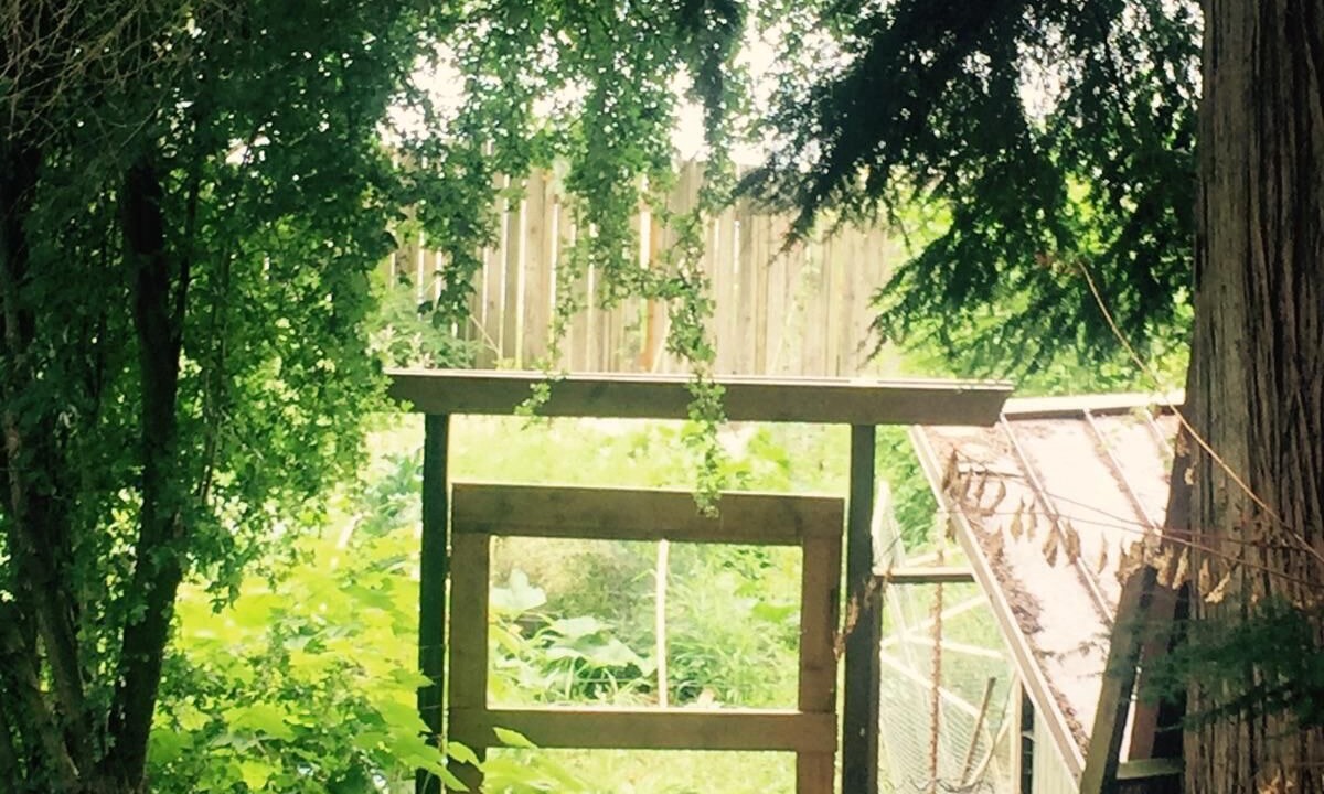 Photo of Outdoor in Ames Lake