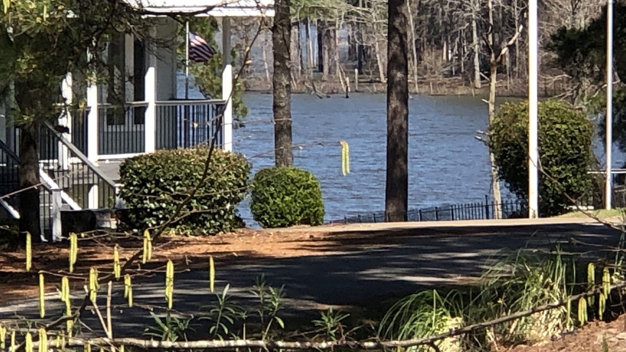 Photo of Outdoor in Brookeland