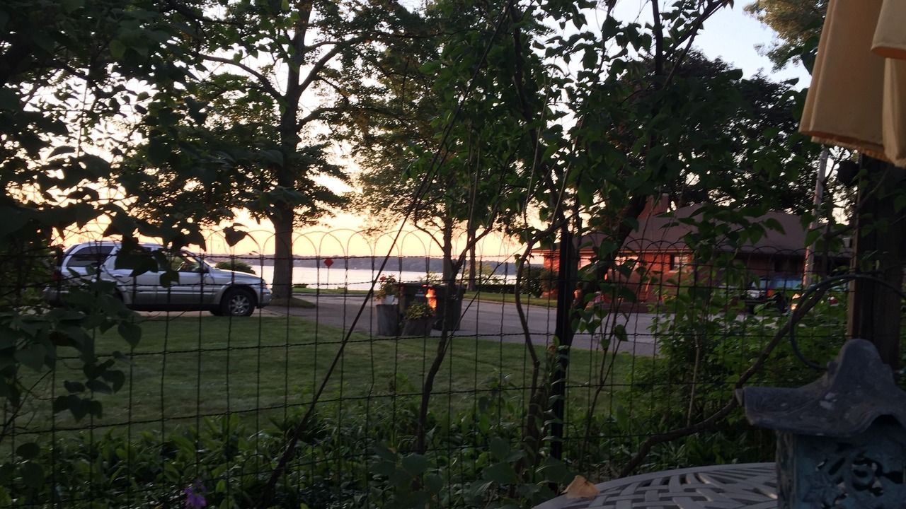 Photo of Outdoor in Nims