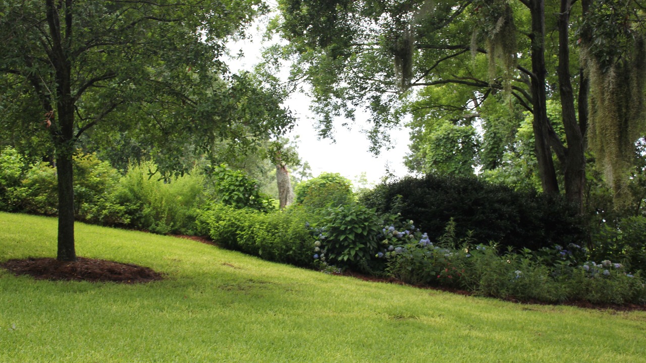 Photo of Others in Fairhope