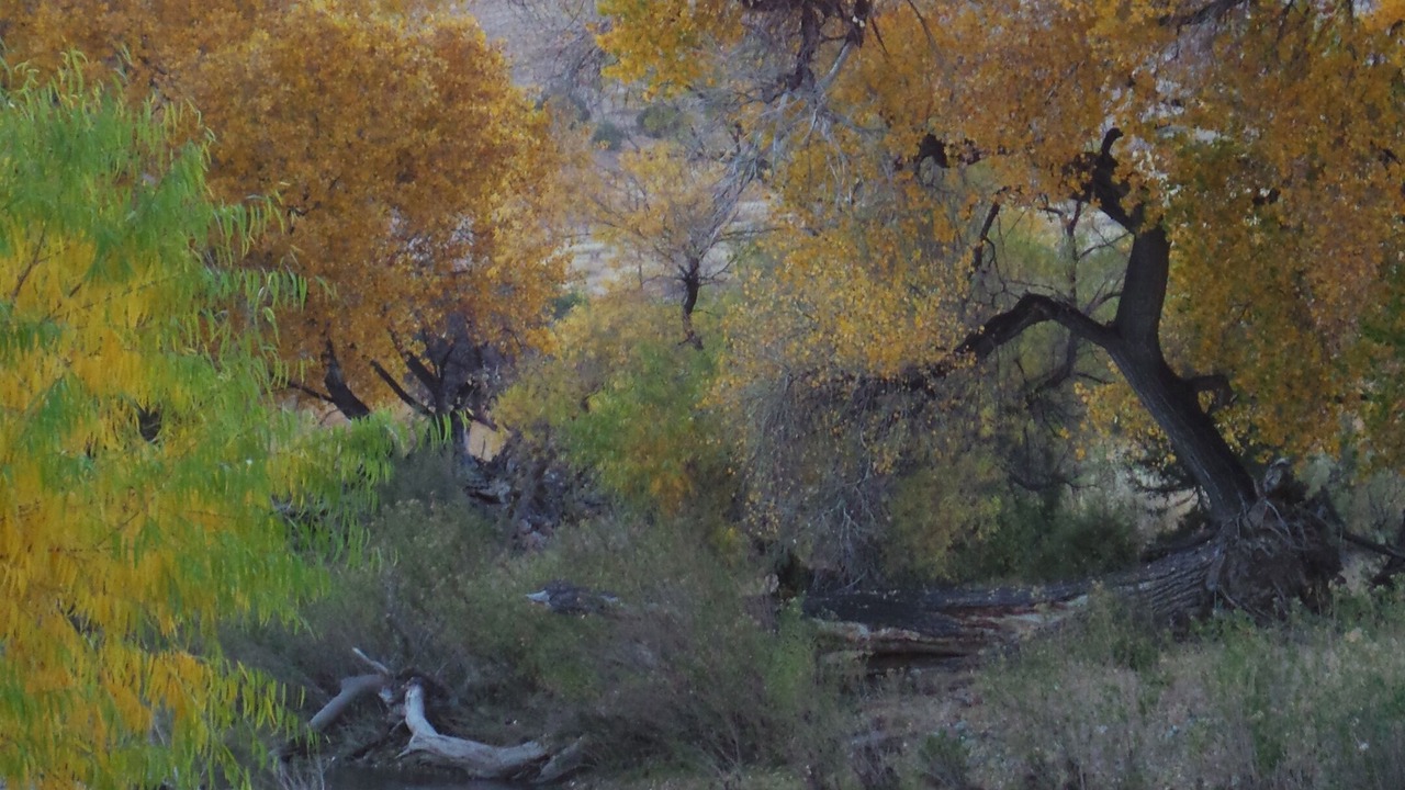 Photo of Outdoor in Faywood