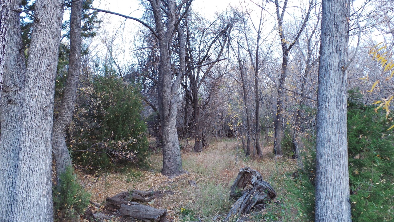 Photo of Outdoor in Faywood
