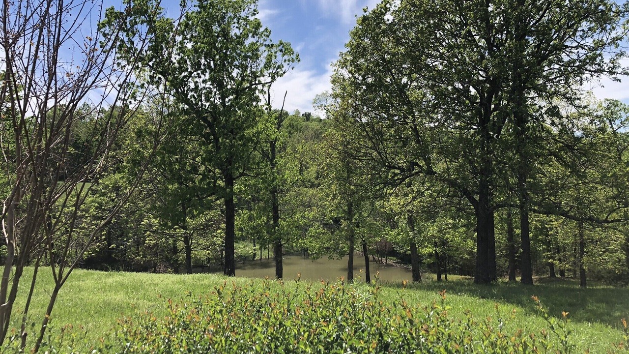 Photo of Others in Huntsville