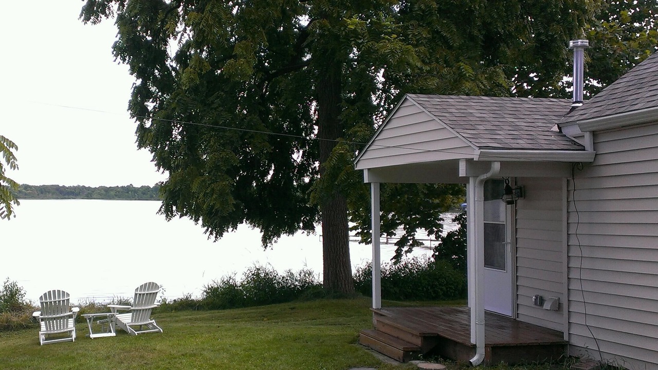 Photo of Others in White Pigeon