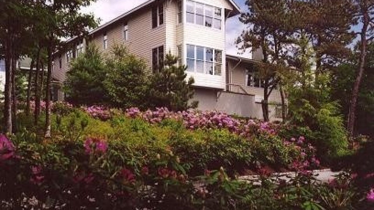 Photo of Outdoor in Water Mill