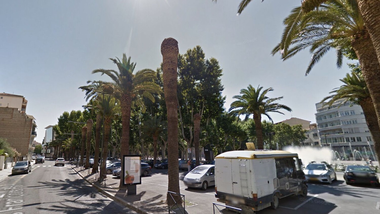 Photo of Others in Les Platanes