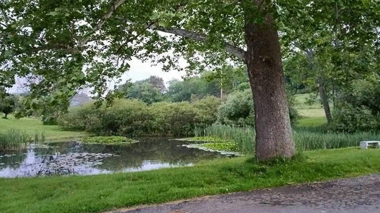 Photo of Outdoor in Russell