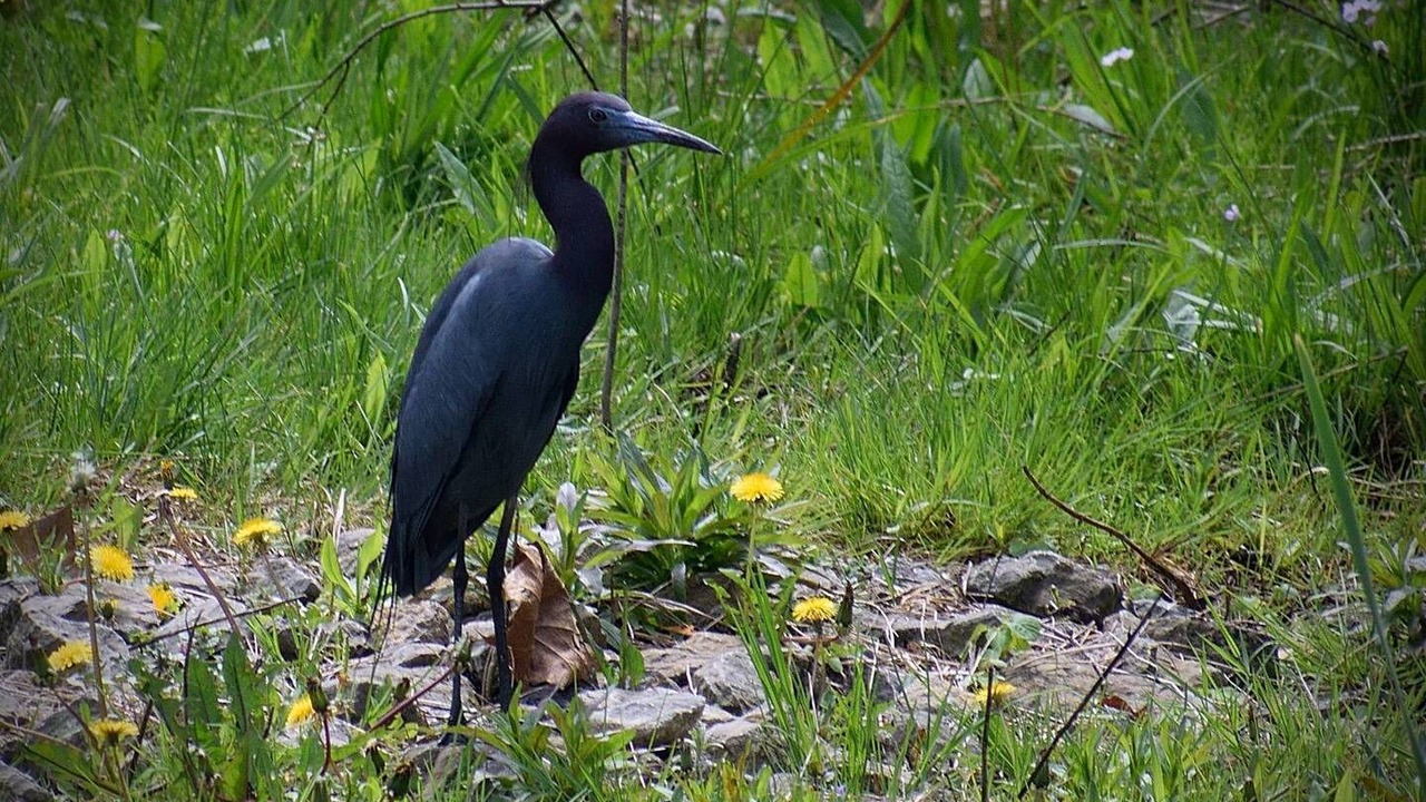 Photo of Outdoor in Russell
