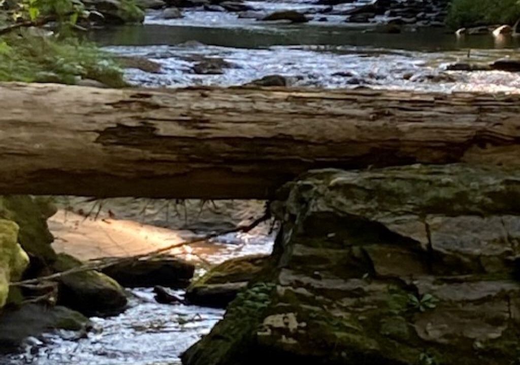 Photo of Others in Lake Lure