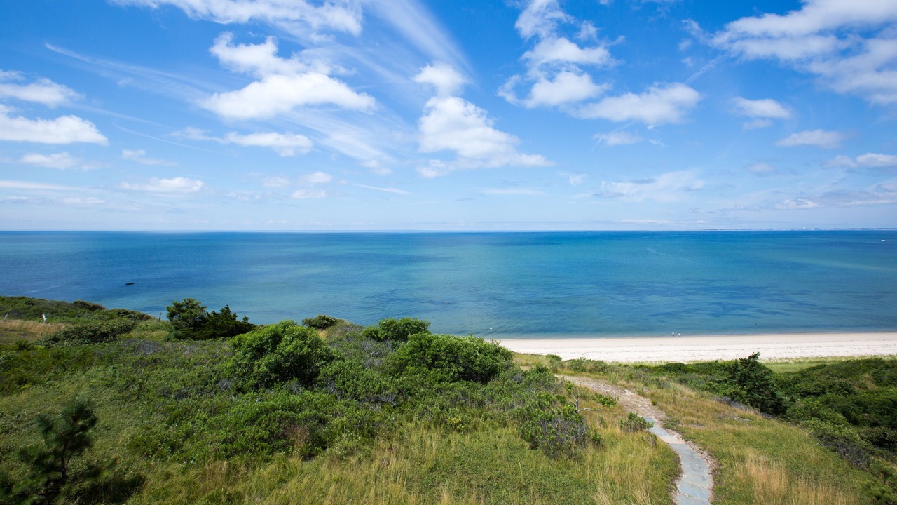 Photo of Others in Wellfleet