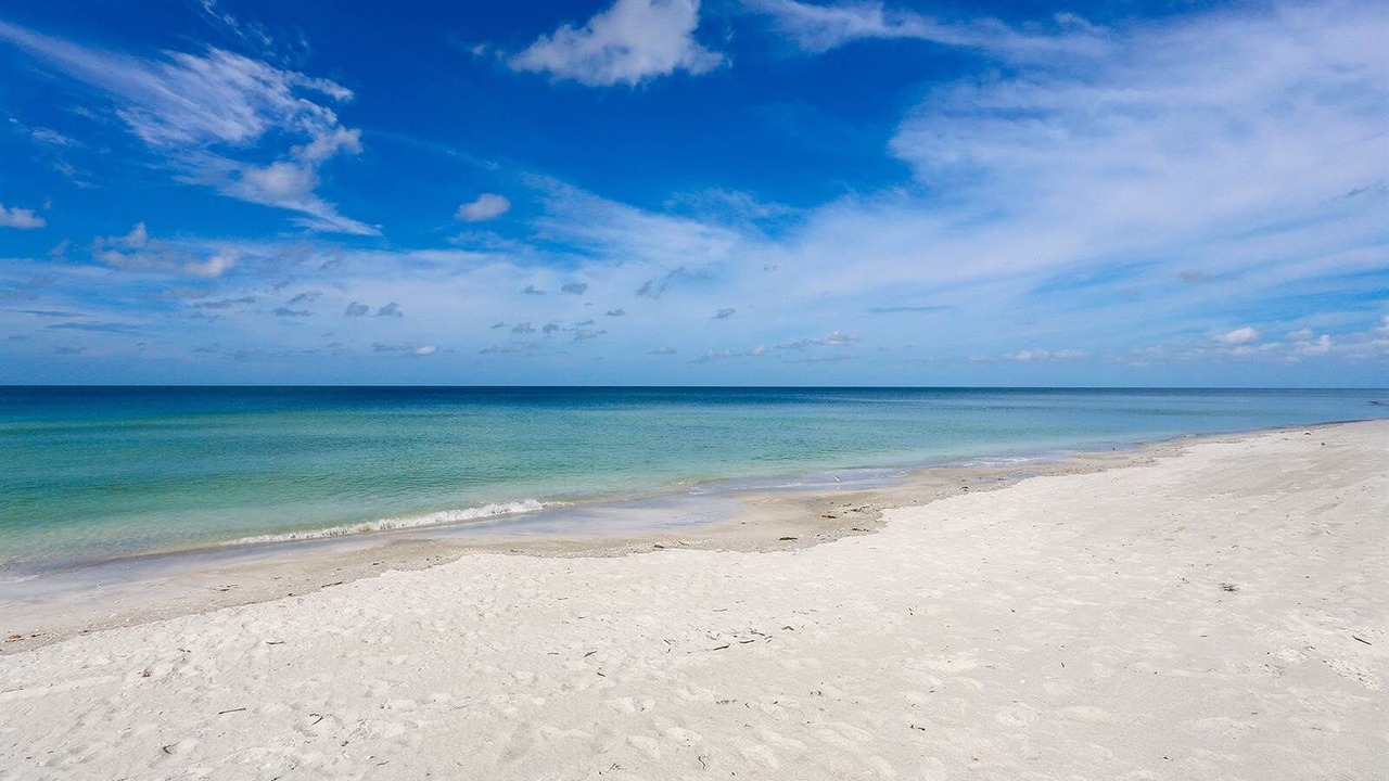 Photo of Others in Longboat Key