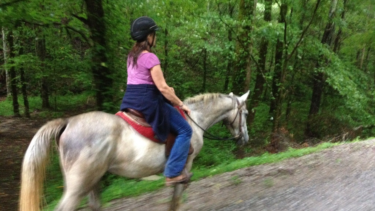 Photo of Others in Tellico Plains