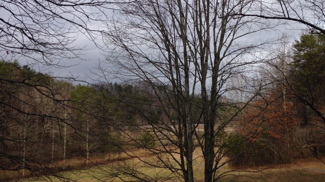 Photo of Others in Tellico Plains