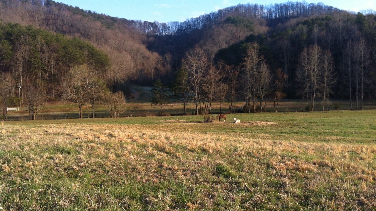 Photo of Outdoor in Tellico Plains