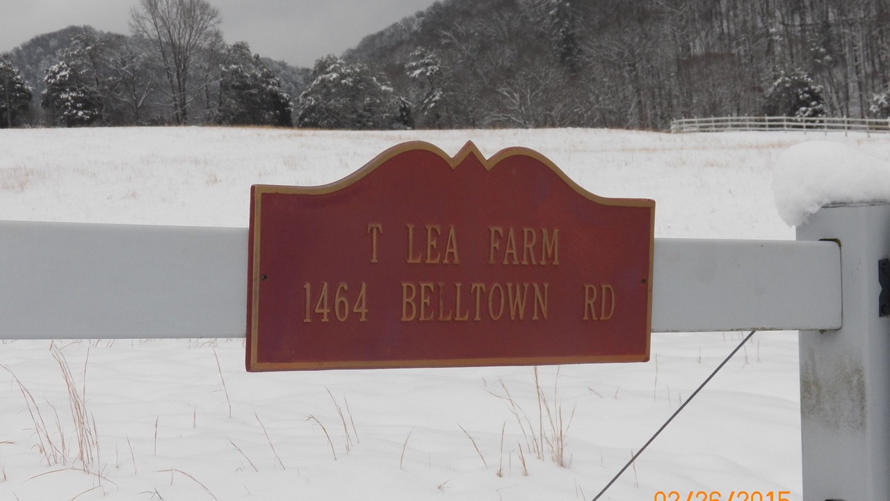 Photo of Others in Tellico Plains