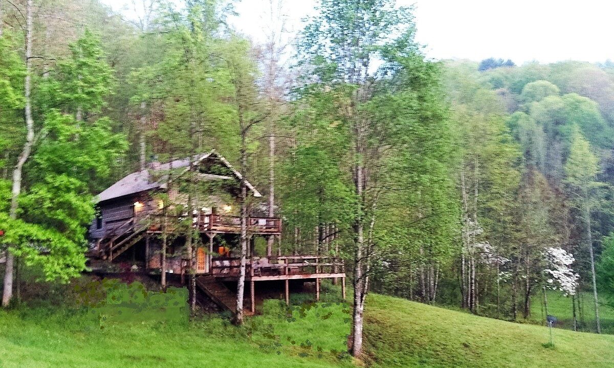 Photo of Outdoor in Tellico Plains