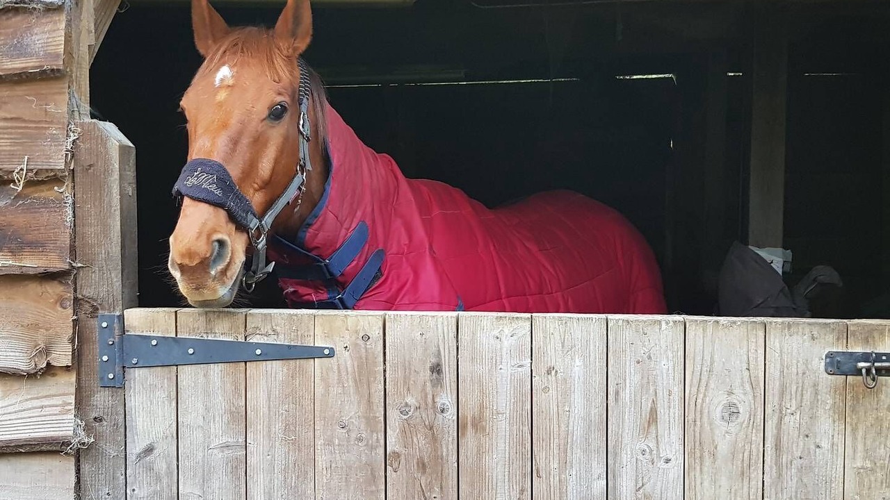 Photo of Others in Sedgeberrow