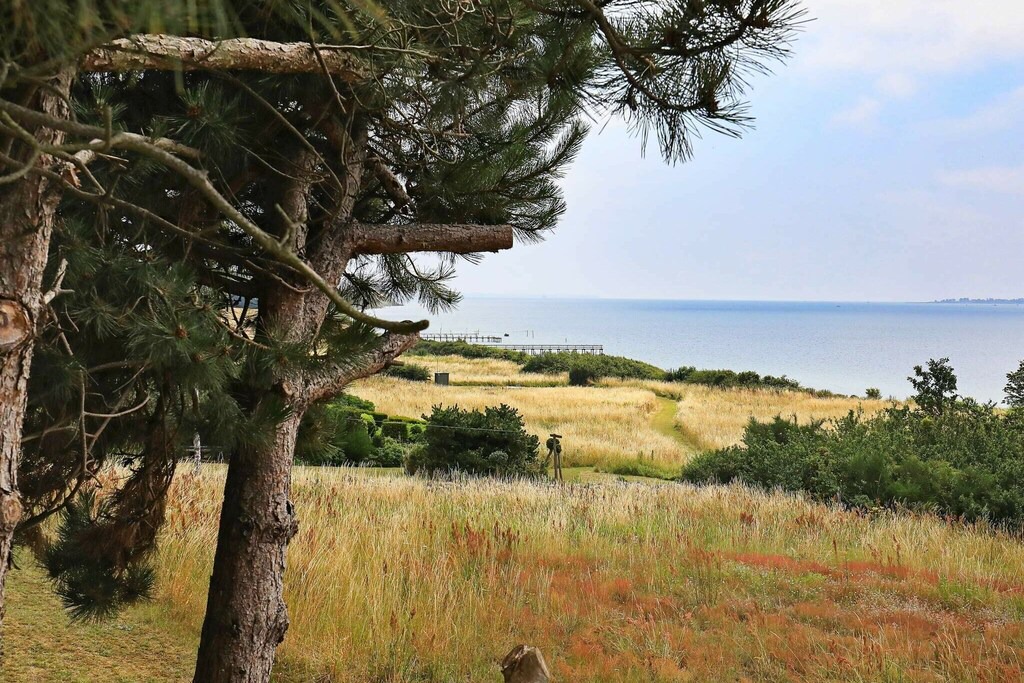 Photo of Outdoor in Bøjden