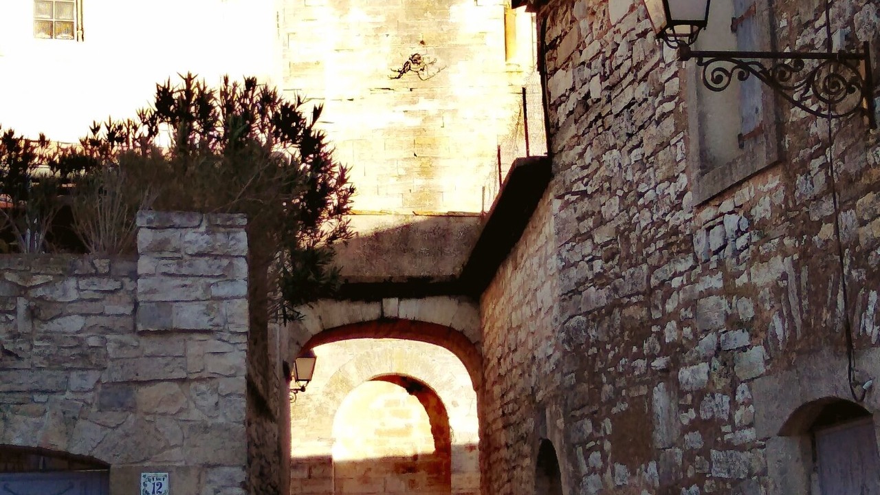 Photo of Outdoor in Saussines