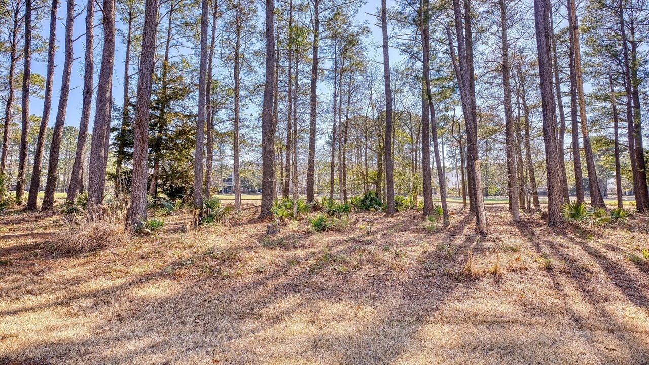 Photo of Others in North Myrtle Beach