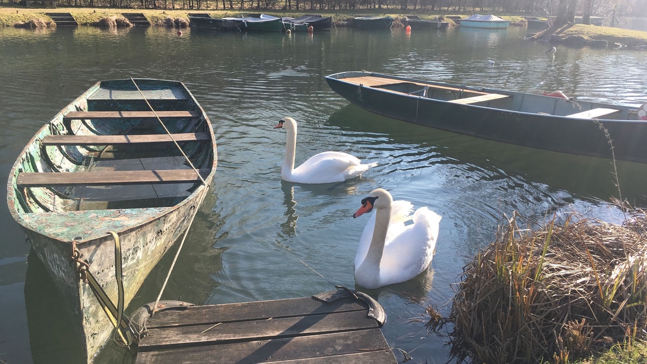 Photo of Others in Aiguebelette-le-Lac