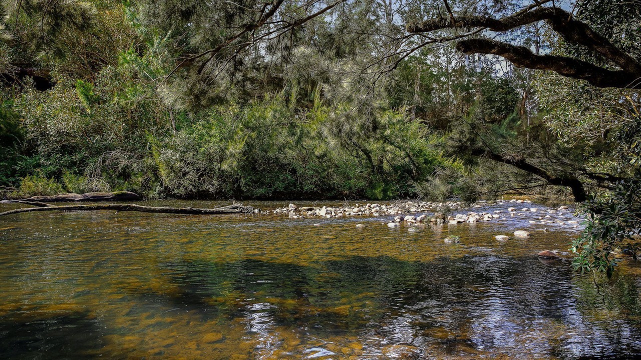 Photo of Others in Kangaroo Valley