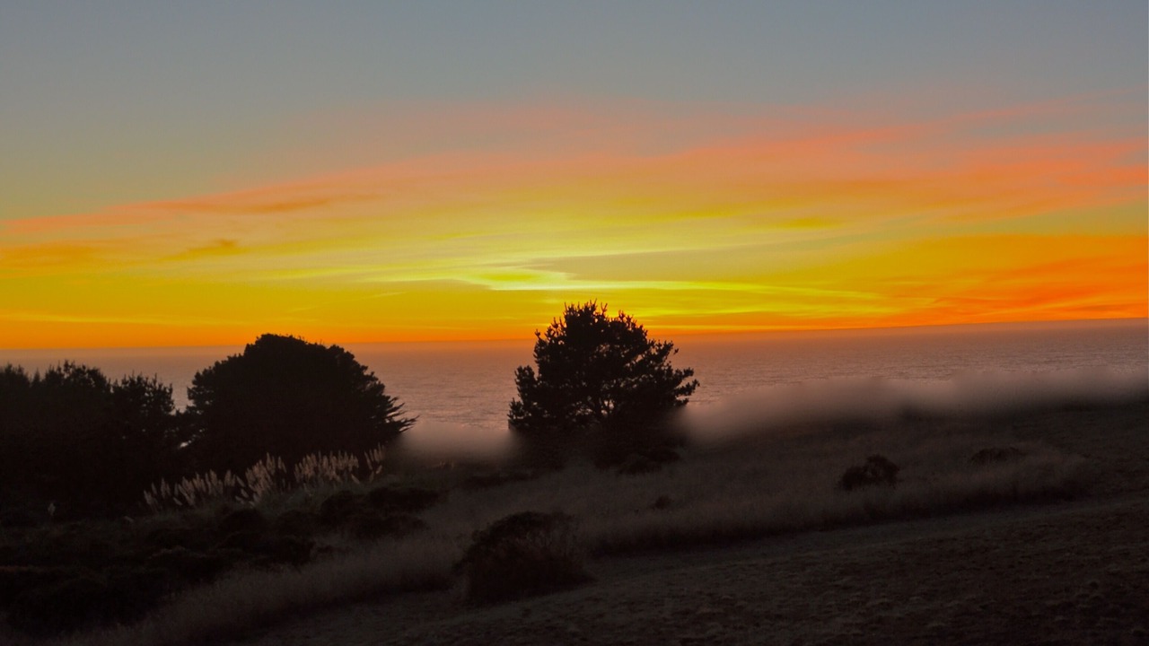 Photo of Others in Sereno del Mar