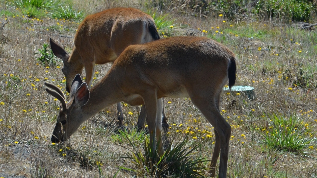 Photo of Others in Sereno del Mar