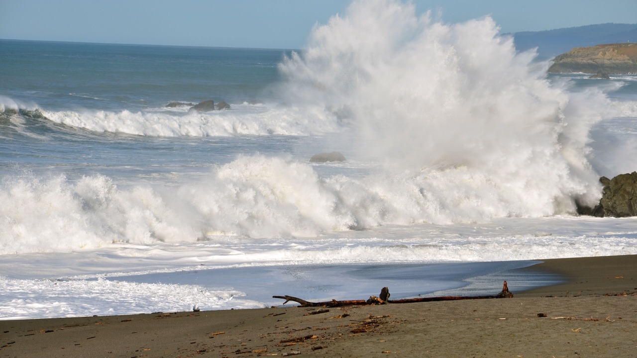 Photo of Others in Sereno del Mar