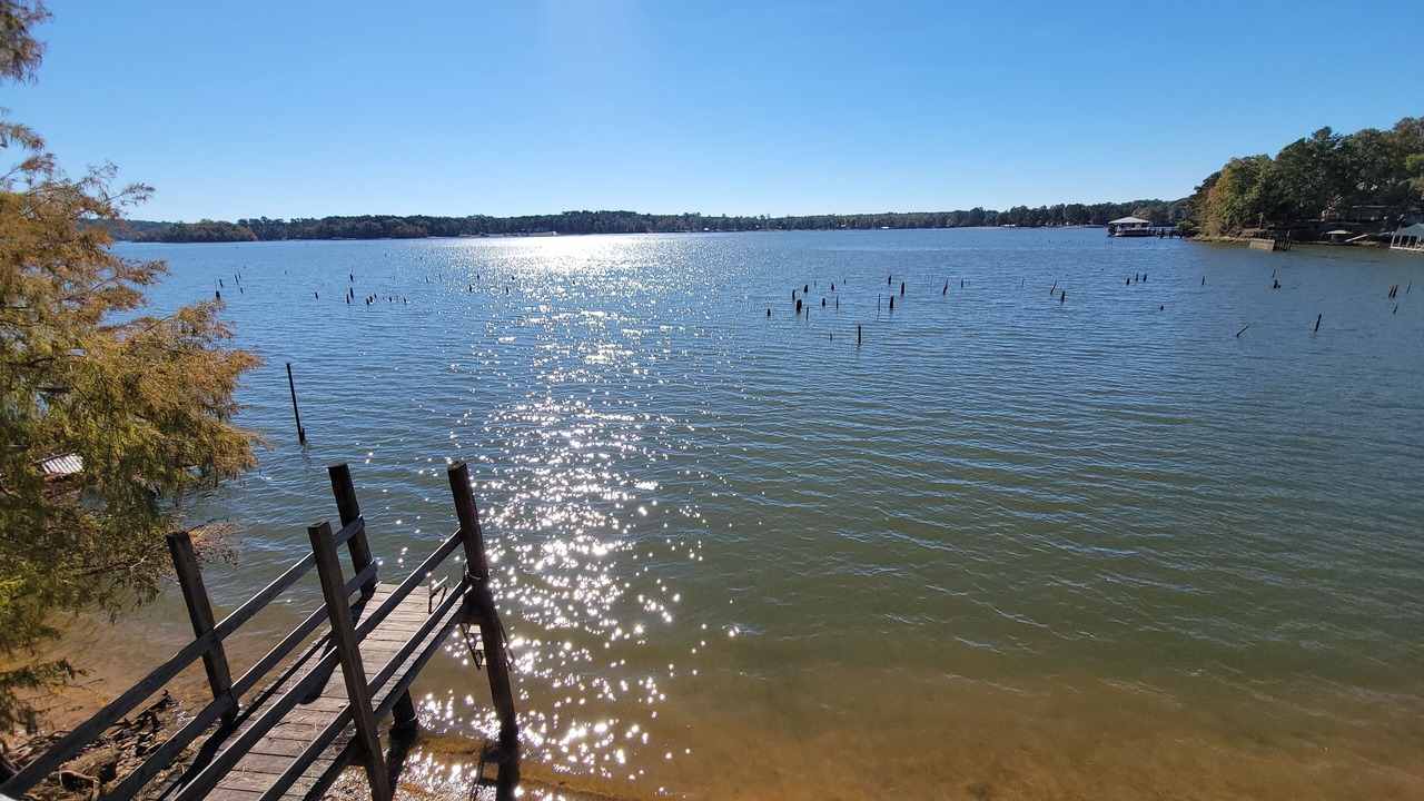 Photo of Others in Hemphill