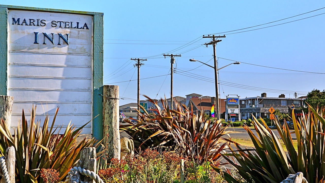 Photo of Outdoor in Ocean Shores