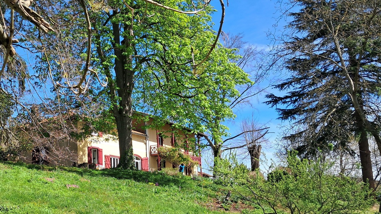 Photo of Outdoor in Labroquere